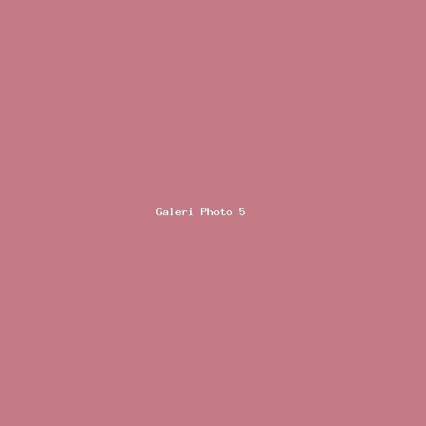 Galeri Photo